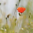 25 Jahre Weblication®